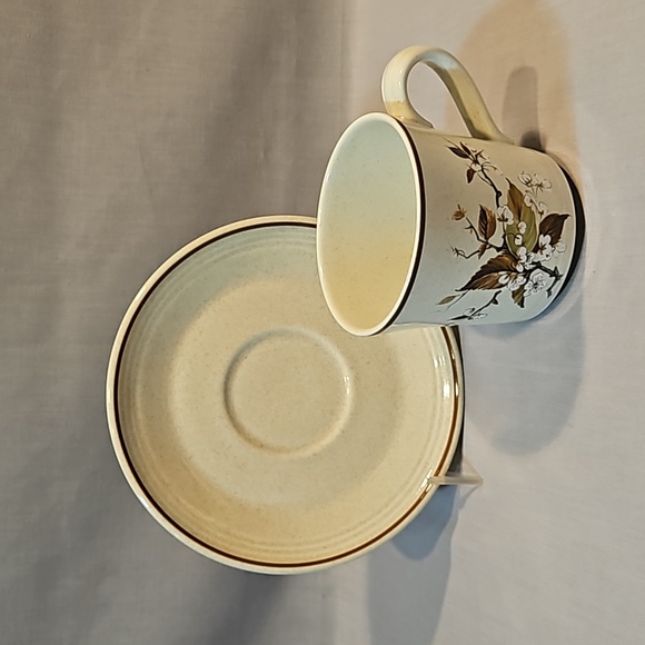 NEW Royal Doulton Wild Cherry 1038 Cup & Saucer Lambethware - Picture 1 of 14